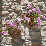Puial De L Douro בית הארחה 4*