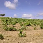 בית הארחה Puial De L Douro