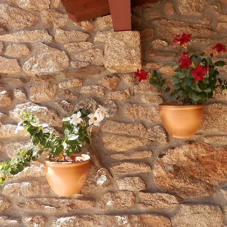 Casa de hóspedes Puial De L Douro Miranda do Douro