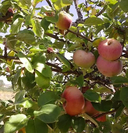 Puial De L Douro 4* Miranda do Douro