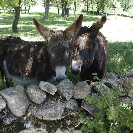 Casa de hóspedes Puial De L Douro 4*