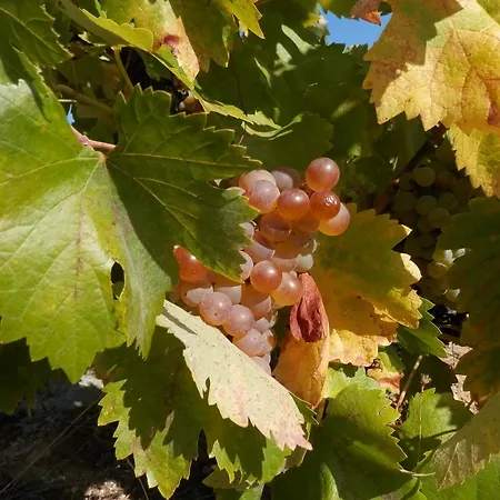 Puial De L Douro