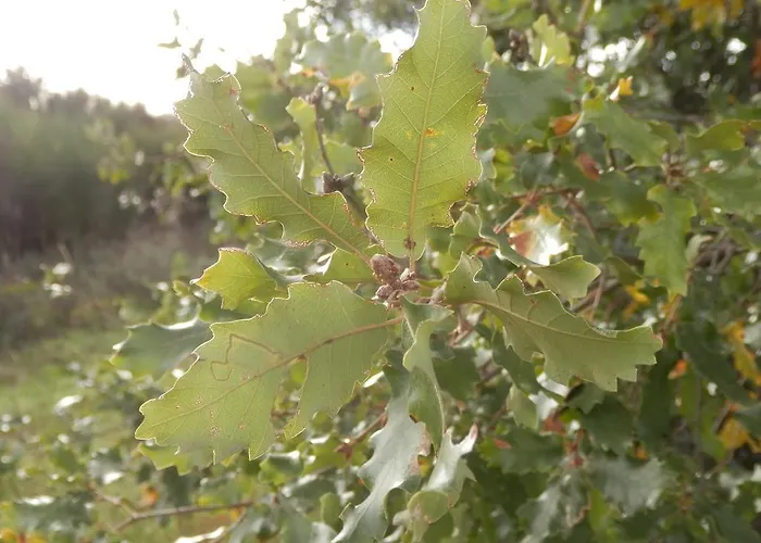 Pensión Puial De L Douro 4*