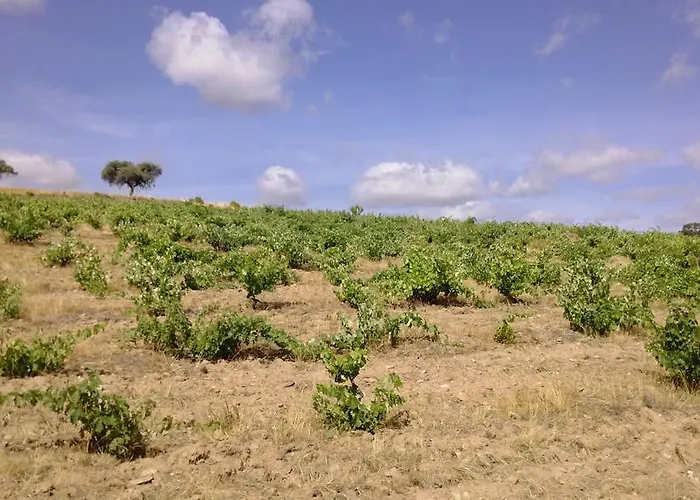 בית הארחה Puial De L Douro