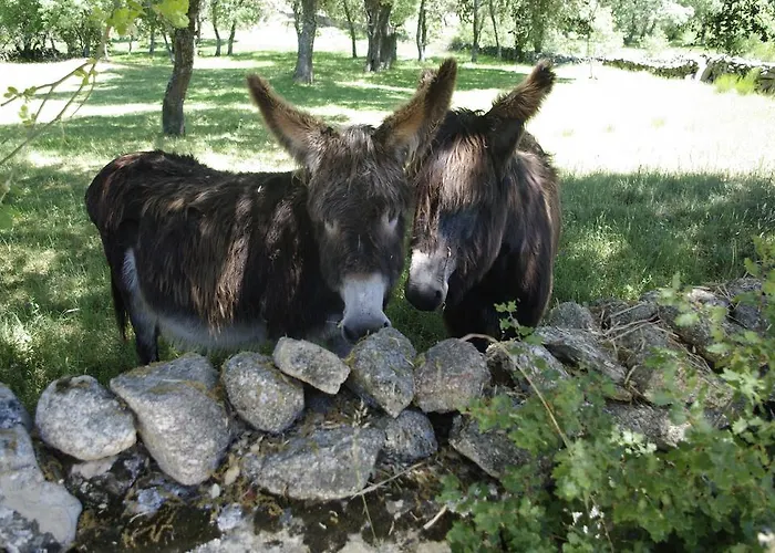 בית הארחה Puial De L Douro 4*